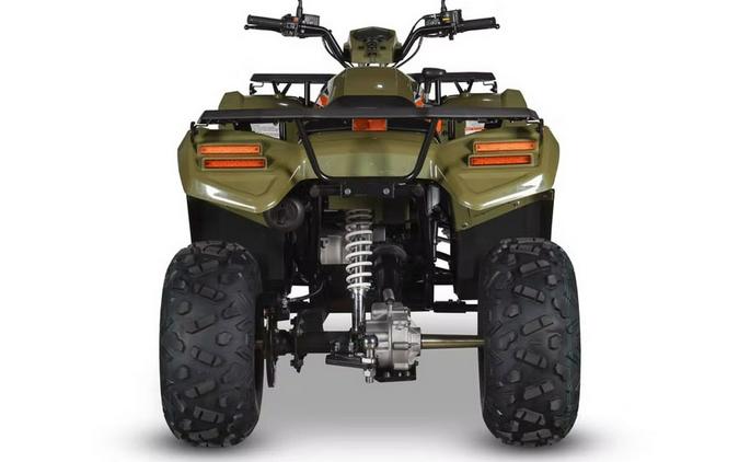 2026 Kayo Bull 300 EFI