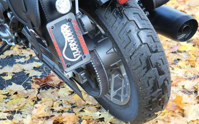 2023 Harley-Davidson Sportster® Nightster™ Special