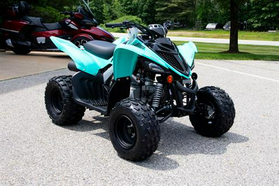 2025 Yamaha Raptor 110