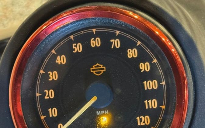 2013 Harley-Davidson Dyna FXDB - Street Bob