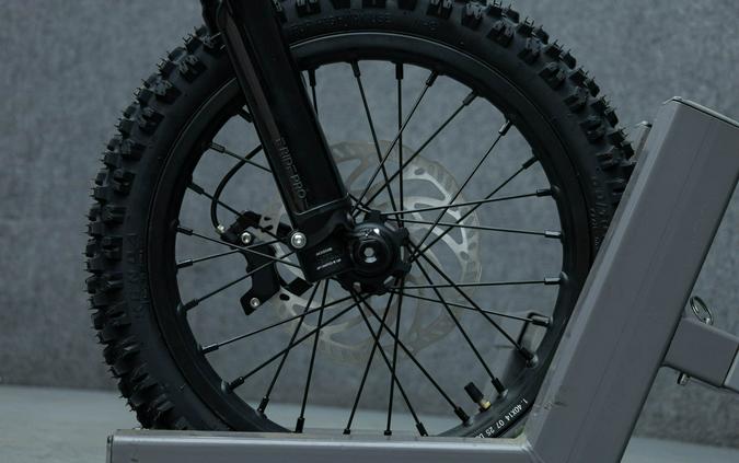 2025 E RIDE PRO MINI R