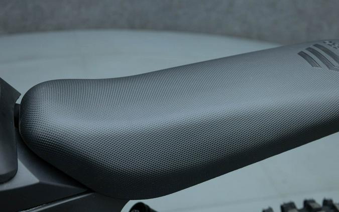 2025 E RIDE PRO MINI R