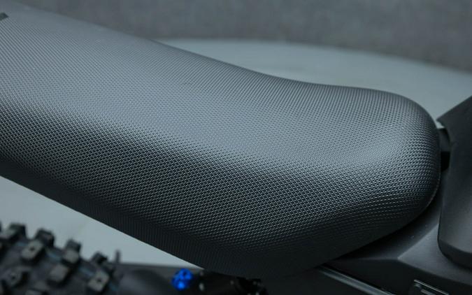 2025 E RIDE PRO MINI R