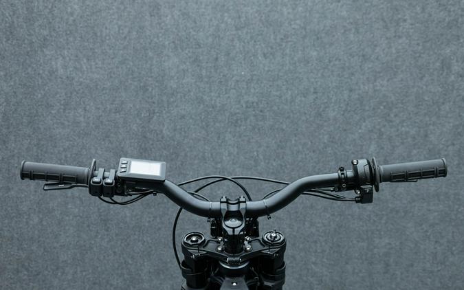 2025 E RIDE PRO MINI R
