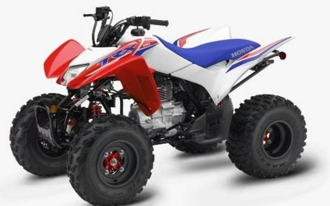 2026 Honda® TRX250X