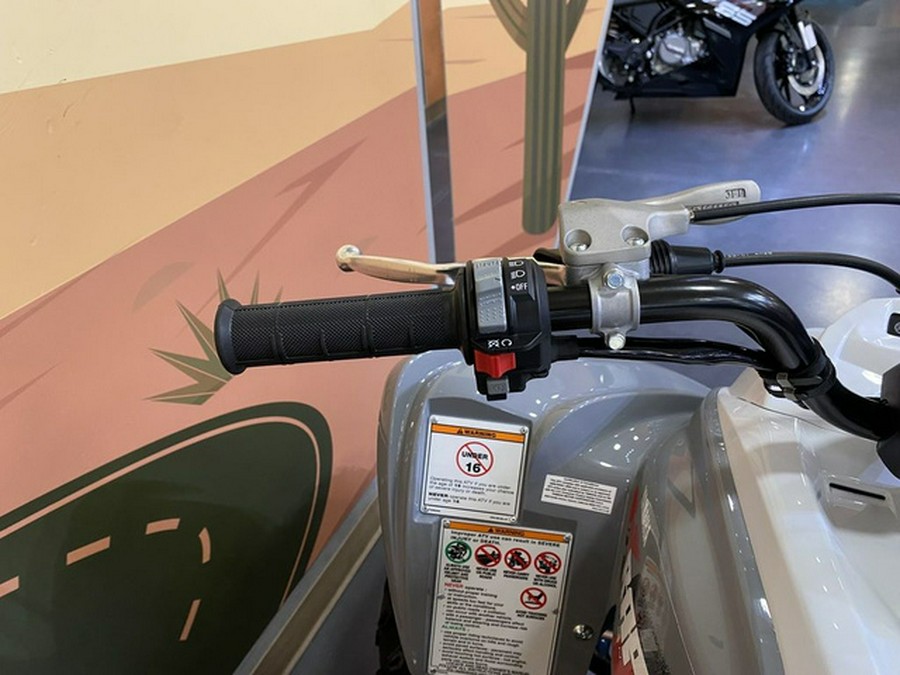 2025 Yamaha Raptor 700