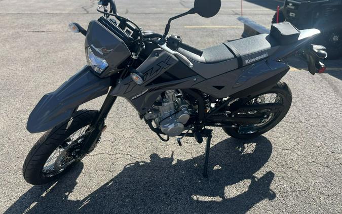 2024 Kawasaki KLX 300SM