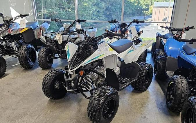 2023 Yamaha Raptor 90