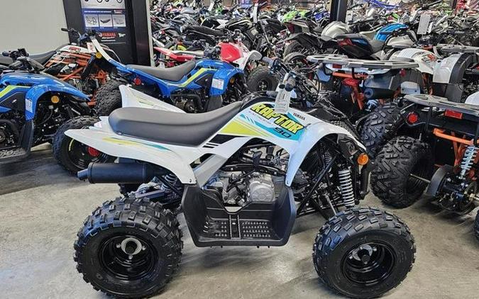 2023 Yamaha Raptor 90