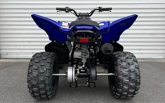 2024 Yamaha Raptor 110