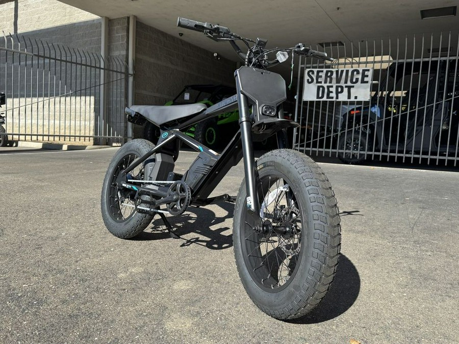 2025 STACYC 20H DRIVE