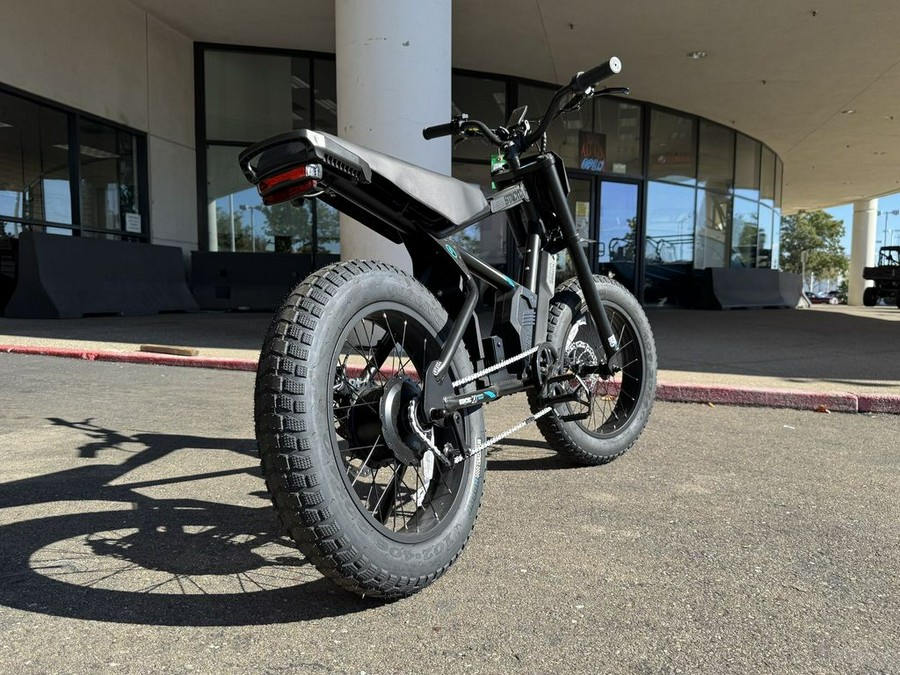 2025 STACYC 20H DRIVE