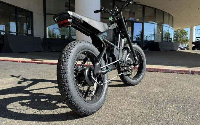 2025 STACYC 20H DRIVE