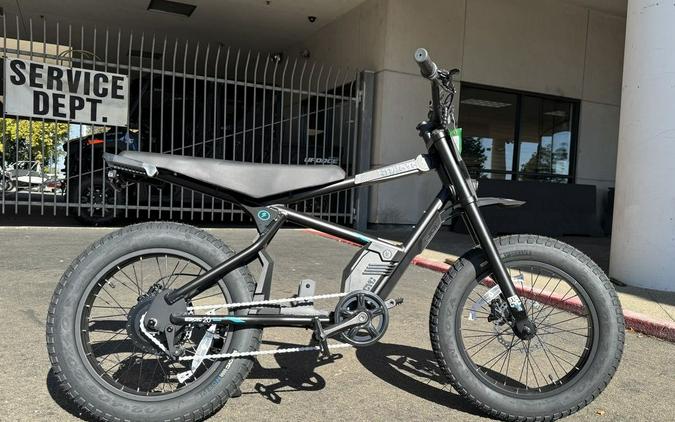 2025 STACYC 20H DRIVE