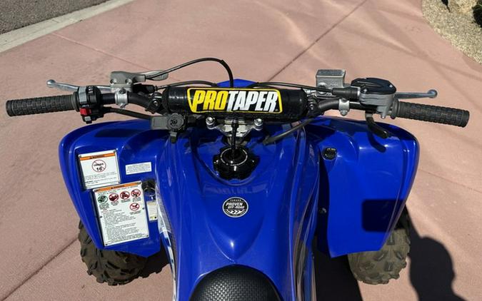 2025 Yamaha Raptor 700R SE