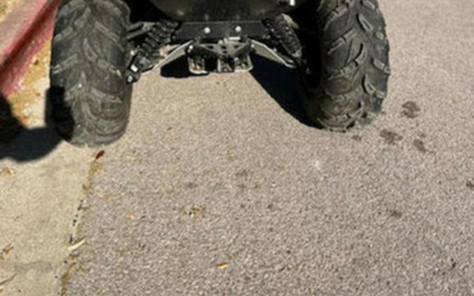 2025 Yamaha Kodiak 450 EPS
