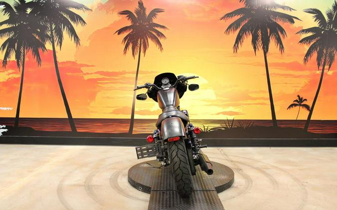 2019 Harley-Davidson® XL 883N - Sportster® Iron 883™