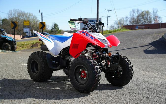 2025 Honda TRX 250X