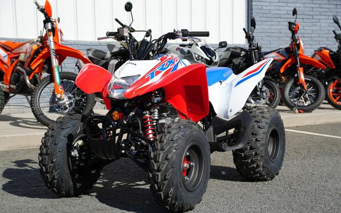 2025 Honda TRX 250X