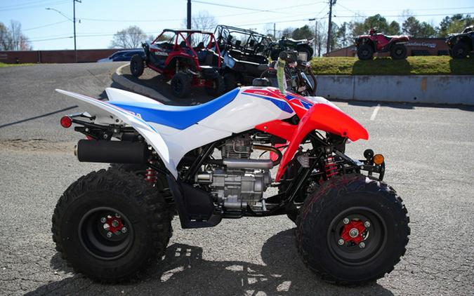 2025 Honda TRX 250X