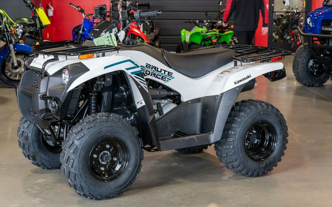 2023 Kawasaki Brute Force® 300