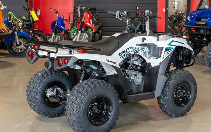 2023 Kawasaki Brute Force® 300