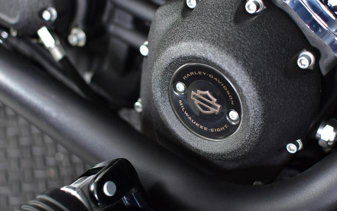 2024 Harley-Davidson Low Rider ST FXLRST