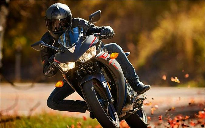 2017 Yamaha Motor Corp., USA YZF-R3
