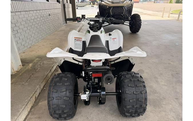 2027 KFX 90 - Kawasaki