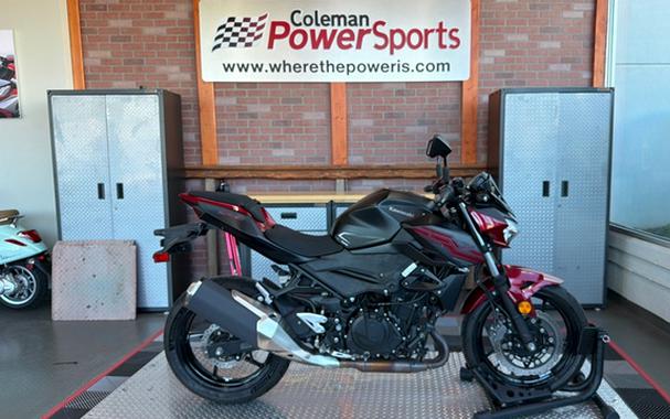2019 Kawasaki Z400 ABS