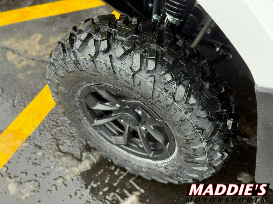 2026 CFMOTO CForce 500