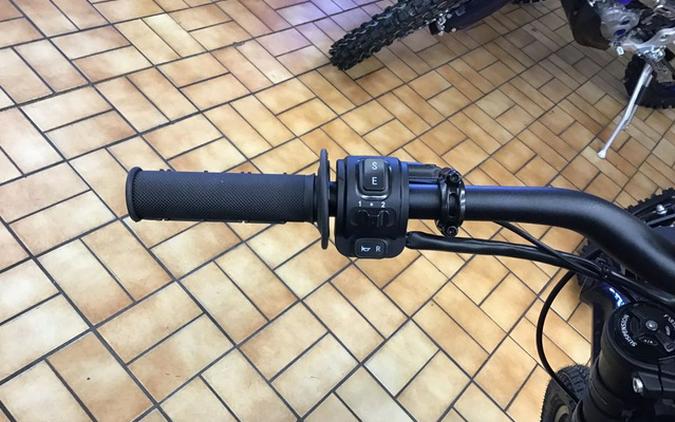 2025 ERIDE PRO SS 2.0