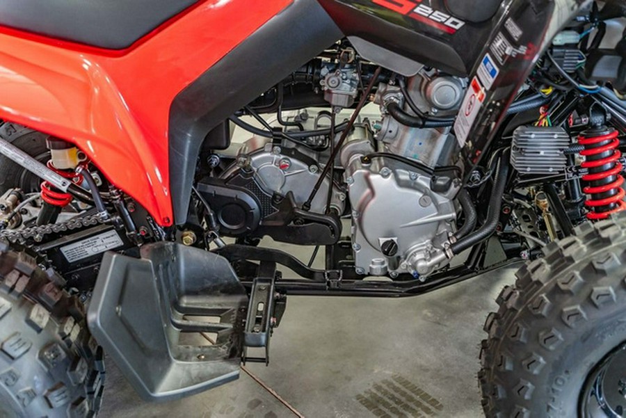2026 Can-Am DS 250