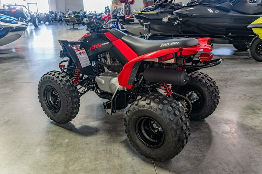 2026 Can-Am DS 250