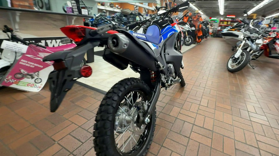 2026 Honda CRF300L RALLY