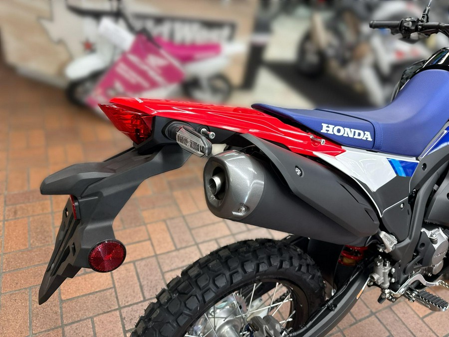 2026 Honda CRF300L RALLY