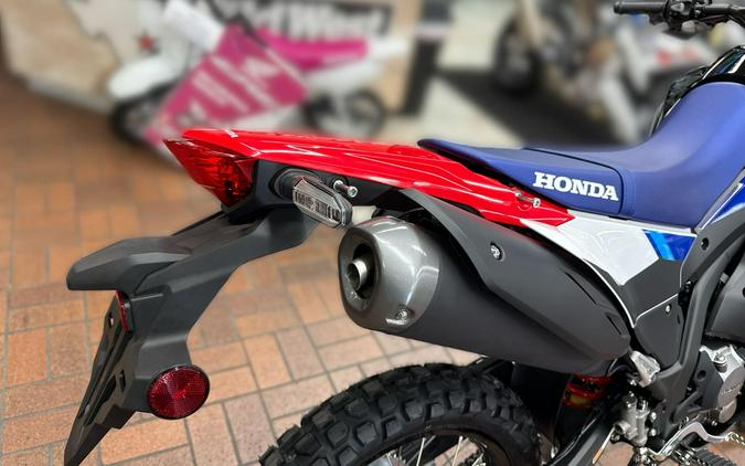 2026 Honda CRF300L RALLY