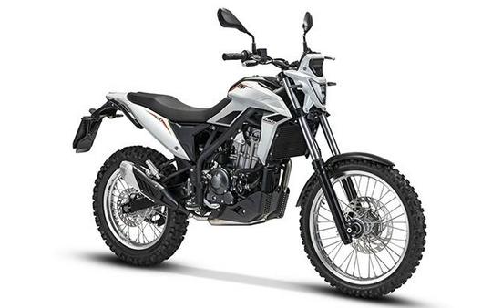2026 Beta Motorcycles 350 Alp 4.0