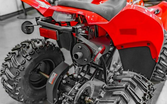 2025 Kayo Fox / Storm 70