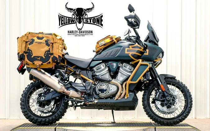 2024 Harley-Davidson Pan America™ 1250 Special Alpine Green