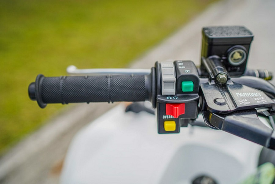 2025 Kawasaki Brute Force 450 4x4