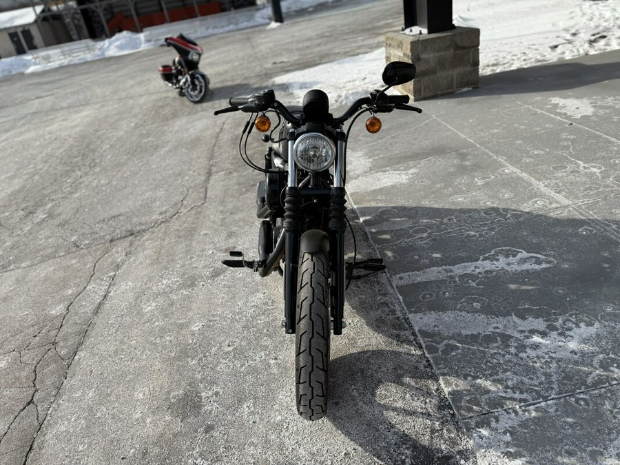 2022 Harley-Davidson Iron 883