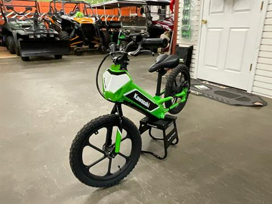 2023 Kawasaki Elektrode