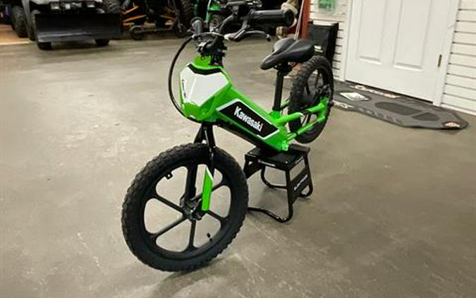 2023 Kawasaki Elektrode