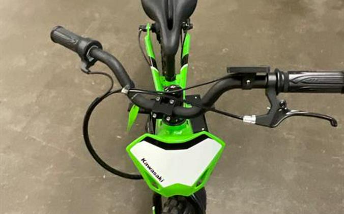 2023 Kawasaki Elektrode