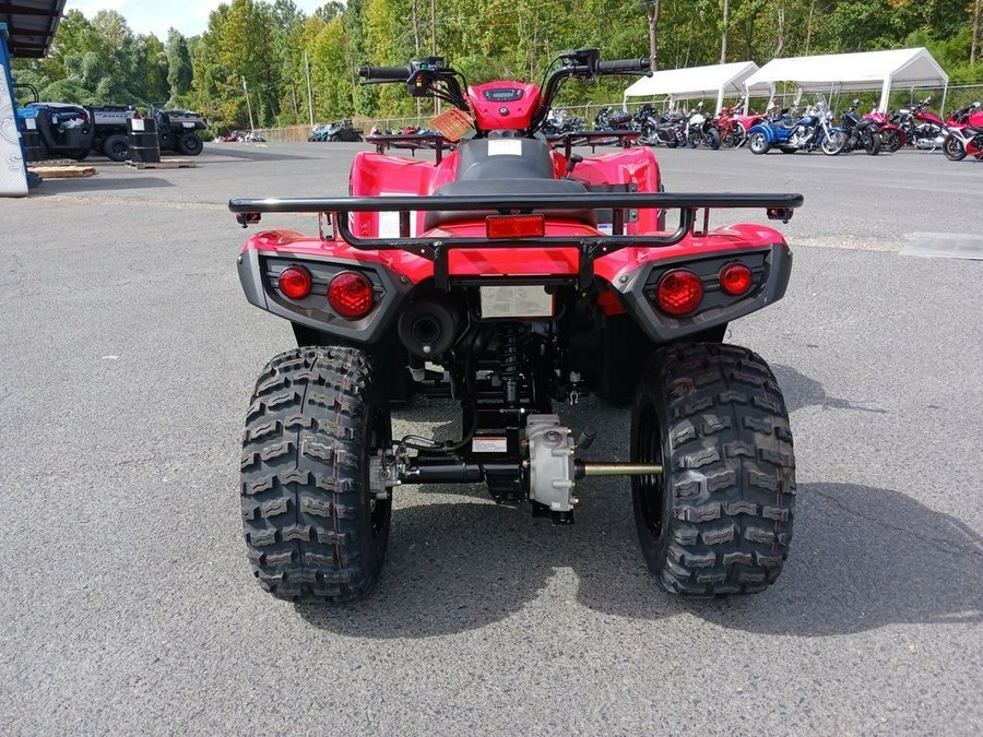 2024 Kawasaki Brute Force® 300