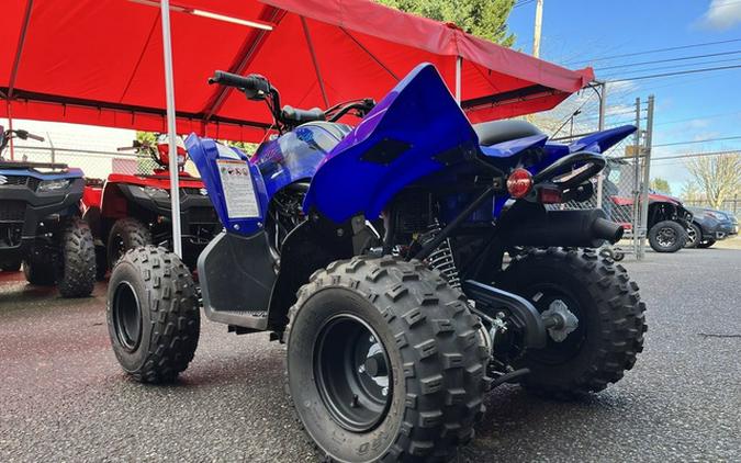 2024 Yamaha Raptor 110