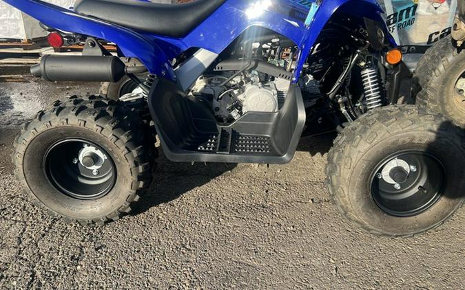 2024 Yamaha Raptor 110
