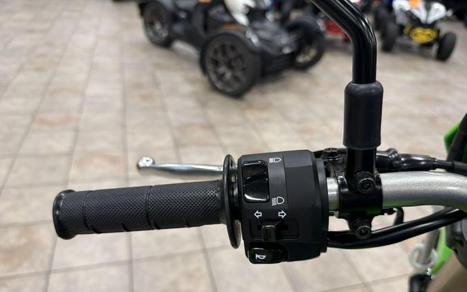 2026 Kawasaki KLX300