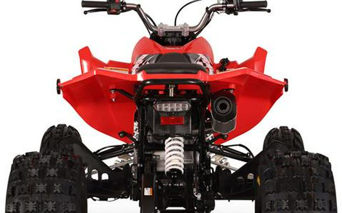 2026 Kayo Storm 300 EFI